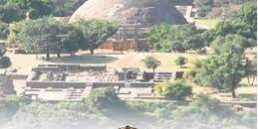 images (1)